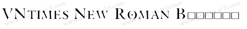 VNtimes New Roman B字体转换